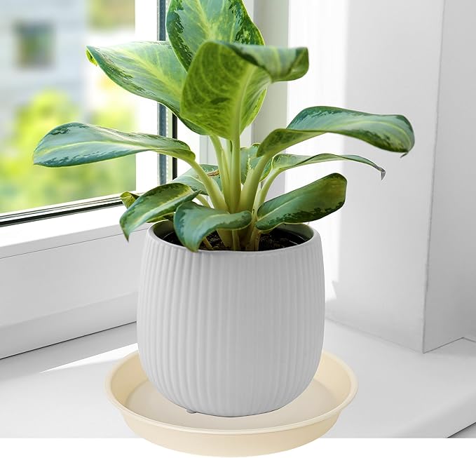 6 Pack Plant Saucer Water Drip Tray, 4 5 6 7 8 9 10 11 12 13 15 17 19 inch - Image 4