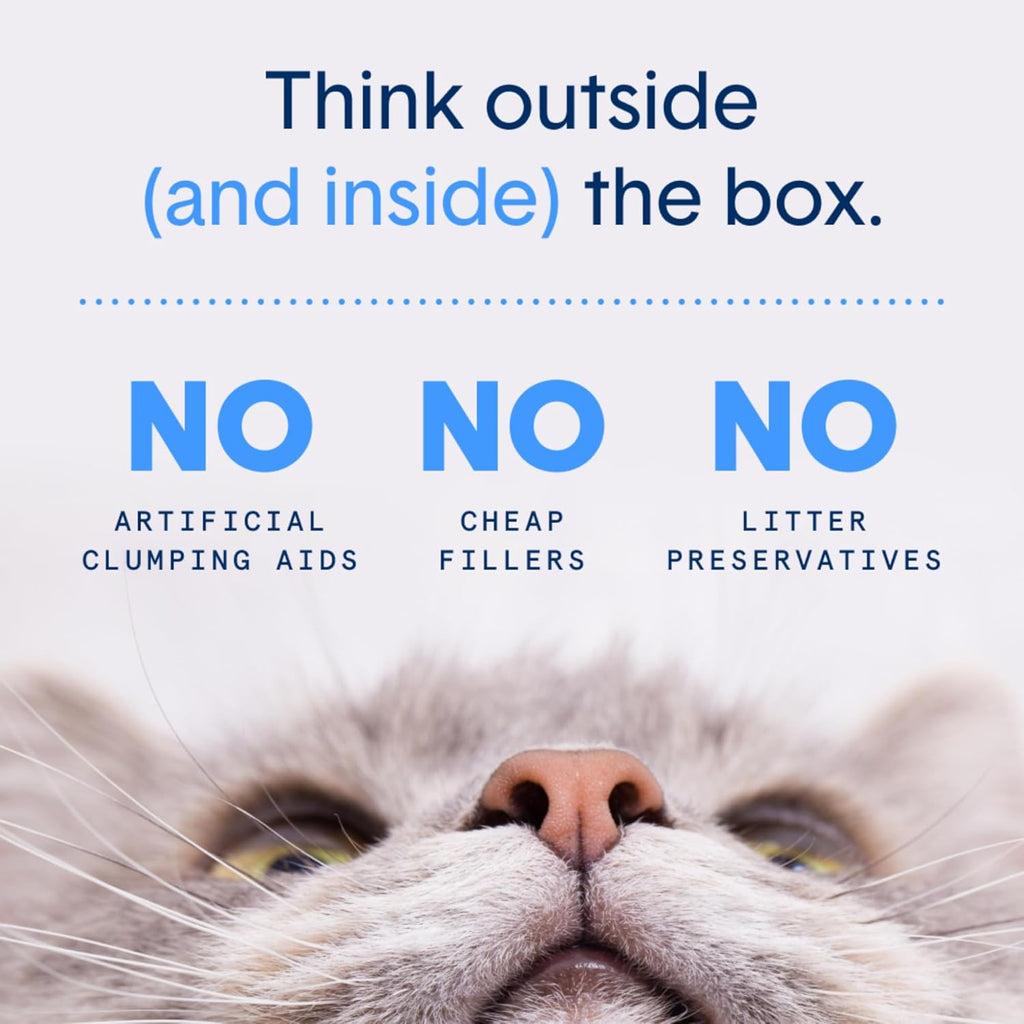 Boxie® Extra Strength Cat Litter, Lightweight 35-Day Odor Control, Clumping, 6.5lb