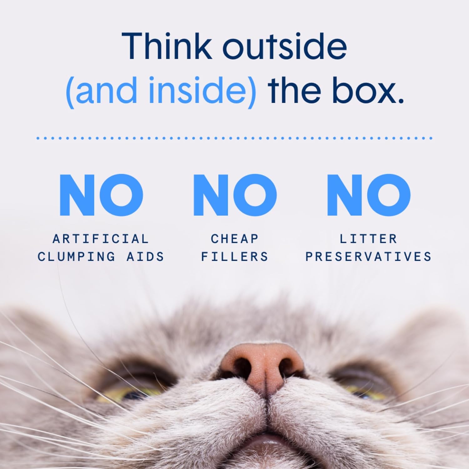Boxie® Extra Strength Cat Litter, Lightweight 35-Day Odor Control, Clumping, 6.5lb