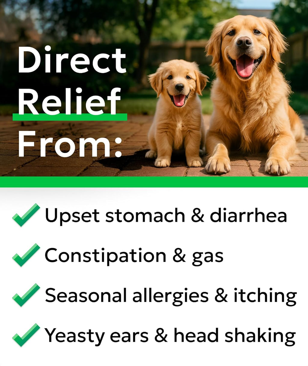 BARK&SPARK Dog Probiotics for Digestive Health w/Enzymes - Diarrhea Gas Treatment Upset Stomach Relief - Allergy & Itchy Skin - Pet Probiotics for Dogs - Digestion Supplement Treat (120Ct Chicken)
