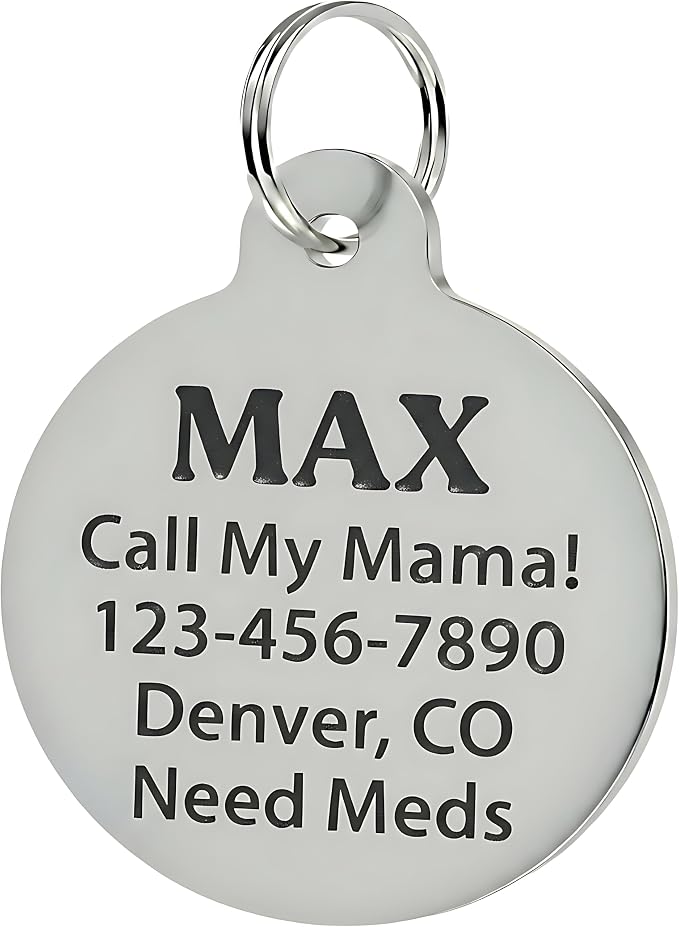 Bad Tags Personalized Dog and Cat ID Tags in 25+ Designs and 2 Sizes - Image 2