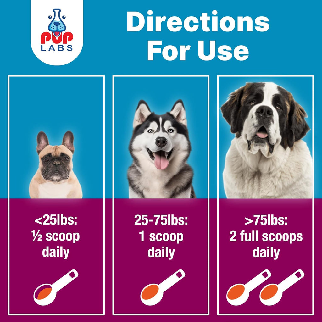 K9 Belly Bliss, All-Natural Gut Health for Dogs, Vet Approved Prebiotic for Dogs for Daily Digestive Support & Dog Constipation Relief, Topper for Dry & Wet Food, 3 Pack with 30 Scoops Each.
