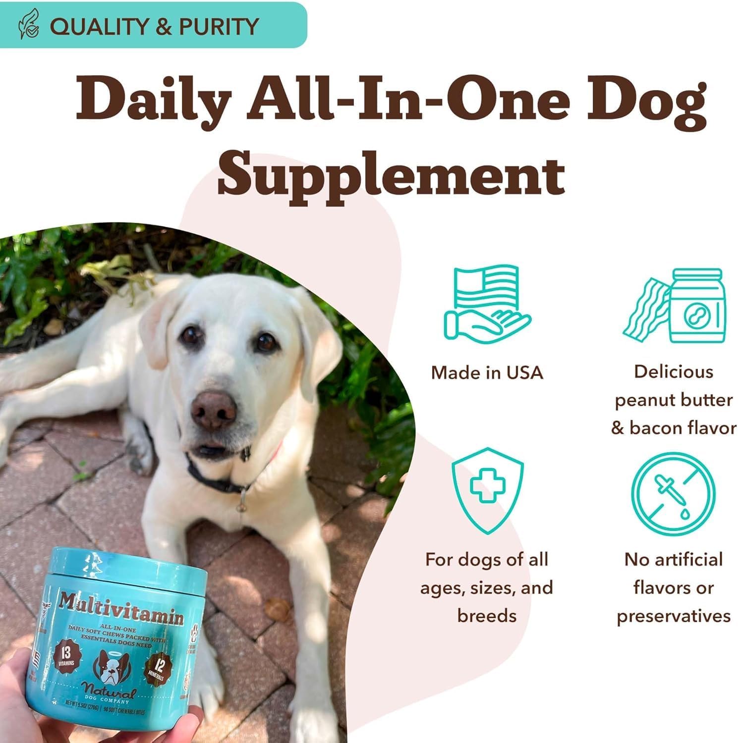 Natural Dog Company 25 in 1 Multivitamin for Dogs – Daily Soft Chews with Vitamins, Minerals & Antioxidants, Immune & Joint Support, for All Ages, Sizes & Breeds, Bacon & Peanut Butter – 90 Count