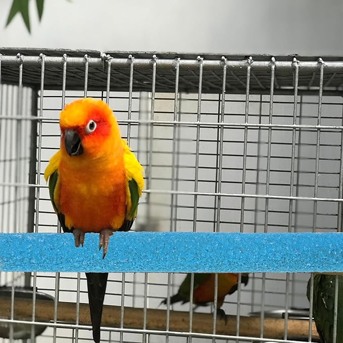 Bird Perches Stand for Cage - Image 6