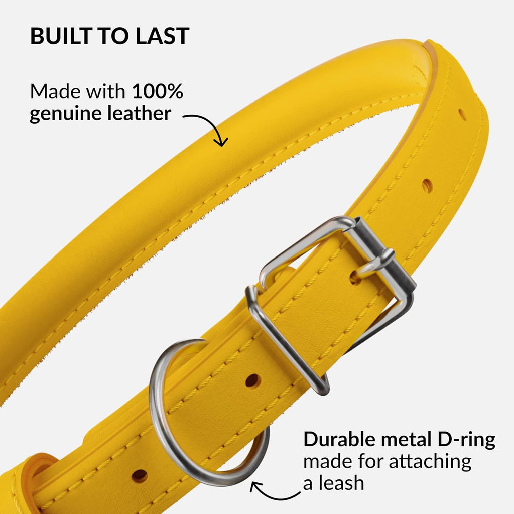 CollarDirect Rolled Leather Dog Collar, Soft Padded Round Puppy Collar, Handmade Genuine Leather Collar Dog Small Large Cat Collars 13 Colors (11-14 Inch, Yellow Smooth)