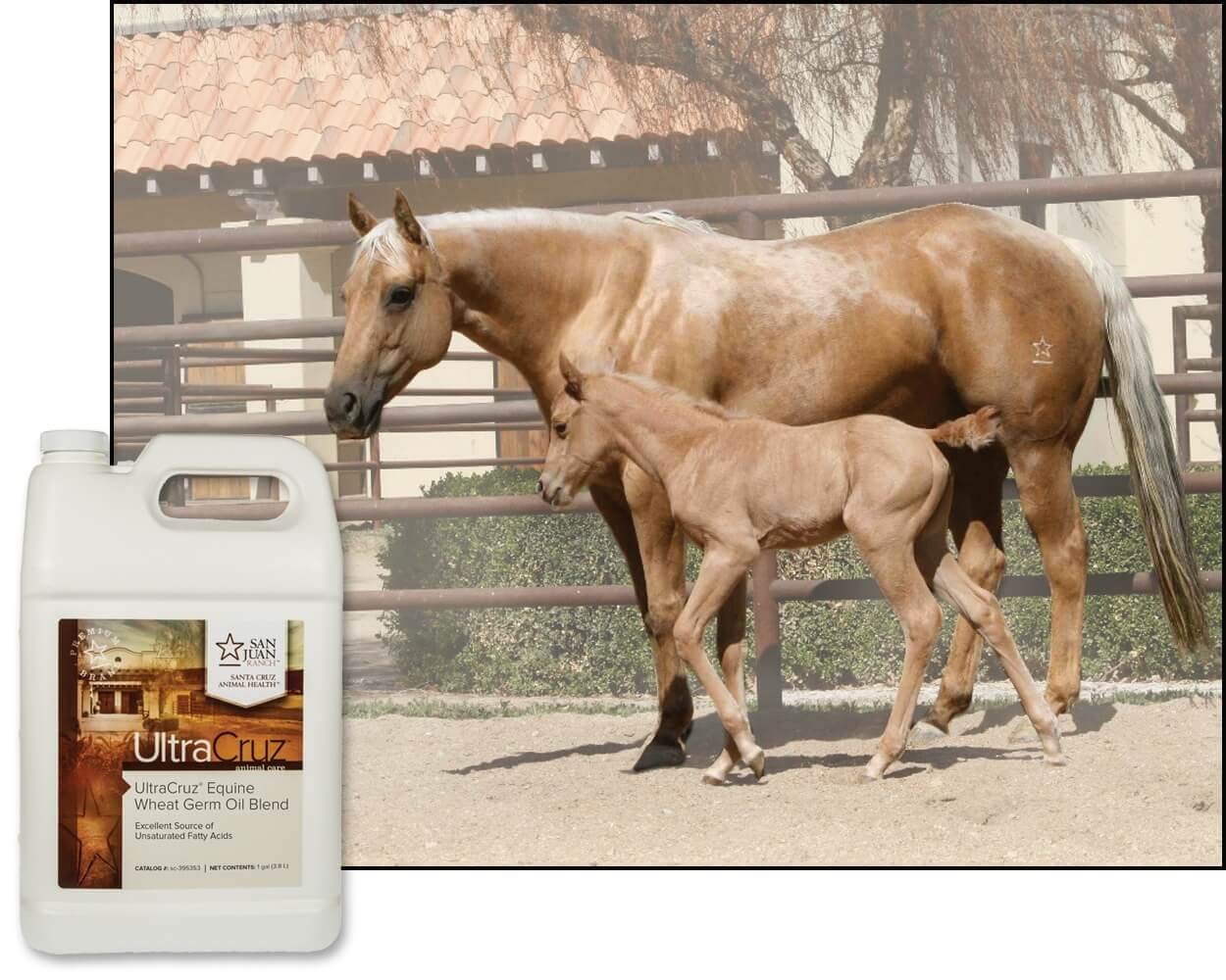 UltraCruz® Equine Wheat Germ Oil Blend, 1 Gallon