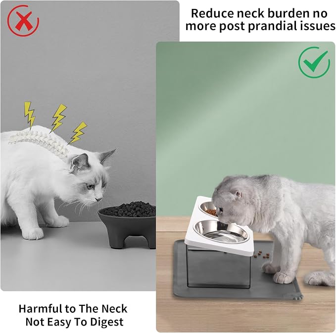 Upgraded Elevated Cat Bowls - Image 2