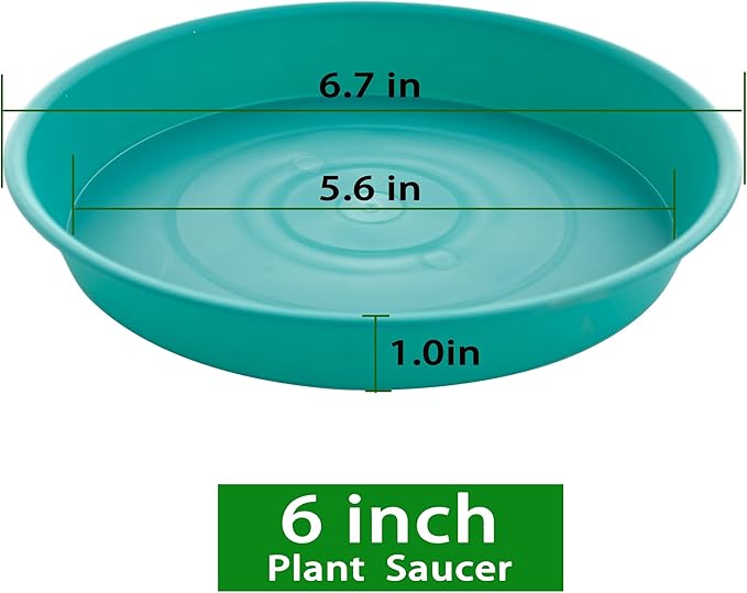 6 Pack of 6 inch Plant Saucer Drainage Tray, 4 5 7 8 10 12 13 15 17 19 inch - Image 2