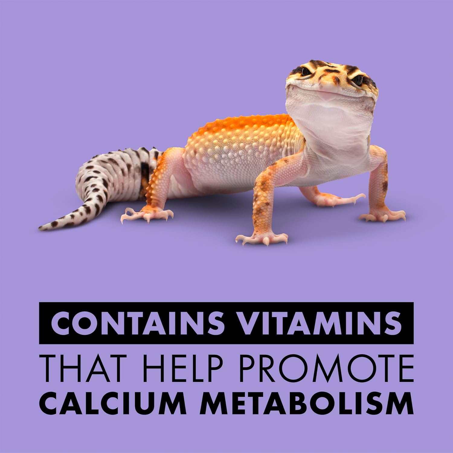 Zilla Vitamin Supplement Food Spray, with Carotene, Spray-on Multivitamin Supplement for Reptiles