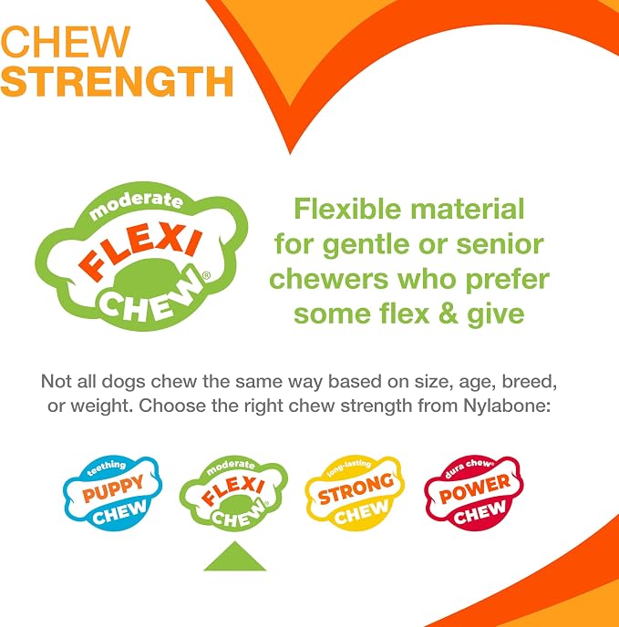 Nylabone Textured Dental Bone Flexi Chew Toy - Image 3