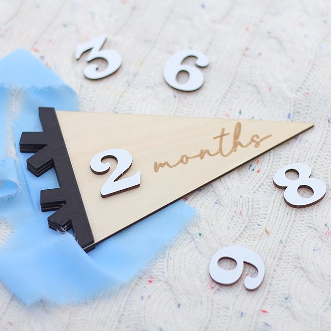 Daisy 3D Baby Monthly Milestone, Wooden Baby Milestone Signs, Monthly Milestone Wood Discs, Baby Milestone Discs (Flag)
