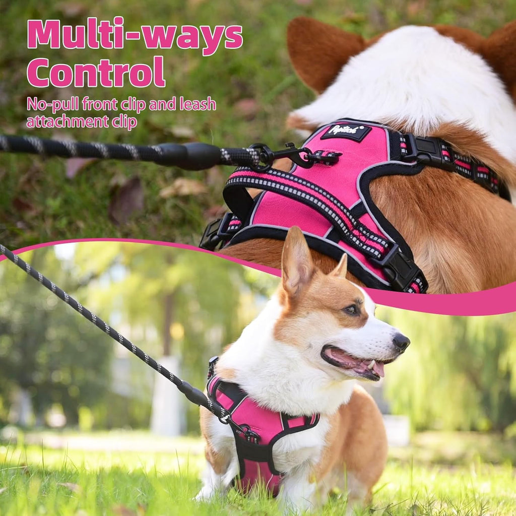 PUPTECK No Pull Dog Harness for Large, Adjustable Reflective Dog Harness with Handle Easy Control, Comfortable Soft Padded Pet Vest Harness for Large Dogs, Fuschia L