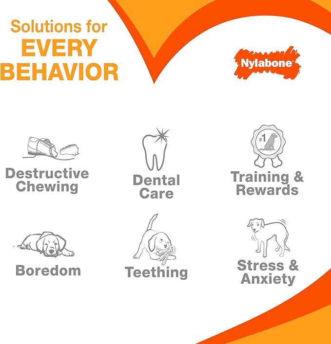Nylabone Textured Dental Bone Power Chew Toy - Image 7