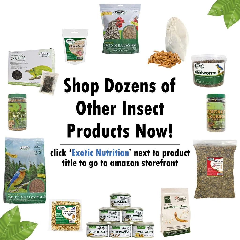 Exotic Nutrition Dried Insect 3 Pack - Crickets, Grasshoppers, Mealworms - for Sugar Gliders, Hedgehogs, Wild Birds, Chickens, Turtles, Tropical Fish, Reptiles