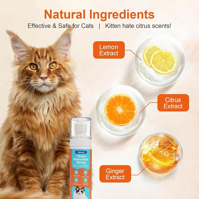Cat Deterrent Spray, Natural Cat Repellent Spray - Image 2