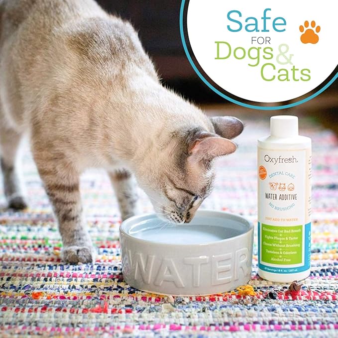Oxyfresh Premium Pet Dental Care Solution Pet Water Additive: Best Way to - Image 3