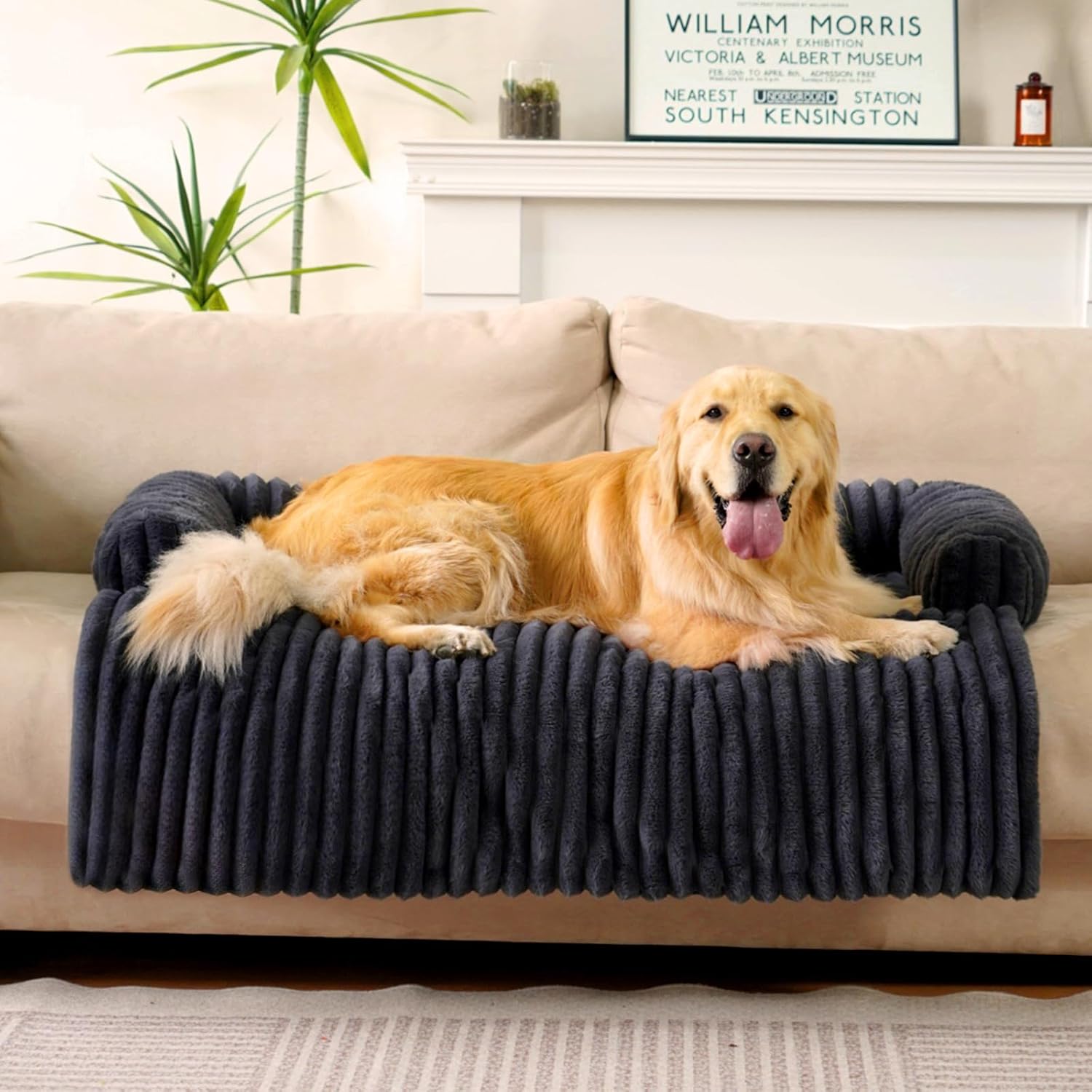 FUNNY FUZZY Pet Couch Cover for Sofa, Calming Dog Bed for Couch, Fluffy Plush Dog Couch Mat for Furniture Protector for Large Medium Small Pets, 47×37 in, Dark Grey