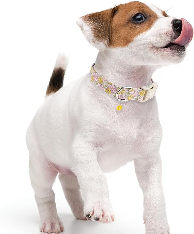 Faygarsle Floral Girl Dog Collar, Cotton Fabric - Image 6