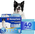 HONEY CARE All-Absorb, X-Large 28" x 34", Dog and Puppy Training Pads, Ultra by HoneyCare