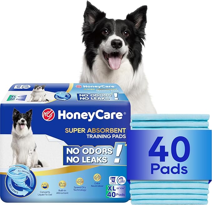 HONEY CARE All-Absorb, X-Large 28" x 34", Dog and Puppy Training Pads, Ultra by HoneyCare