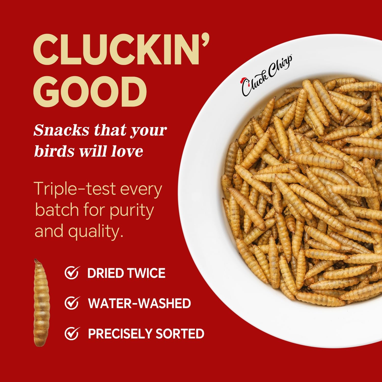 Dried Black Soldier Fly Larvae, Non-GMO, Natural Chicken Treats & High-Protein Poultry Snacks for Backyard Chickens, Laying Hens & Ducks, 2.5 lb Box