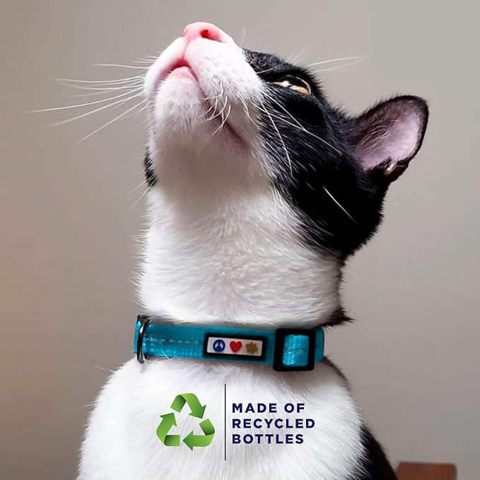 Pawtitas Recycled Purple Reflective Cat Collar – Eco-Friendly Breakaway Safety - Image 3