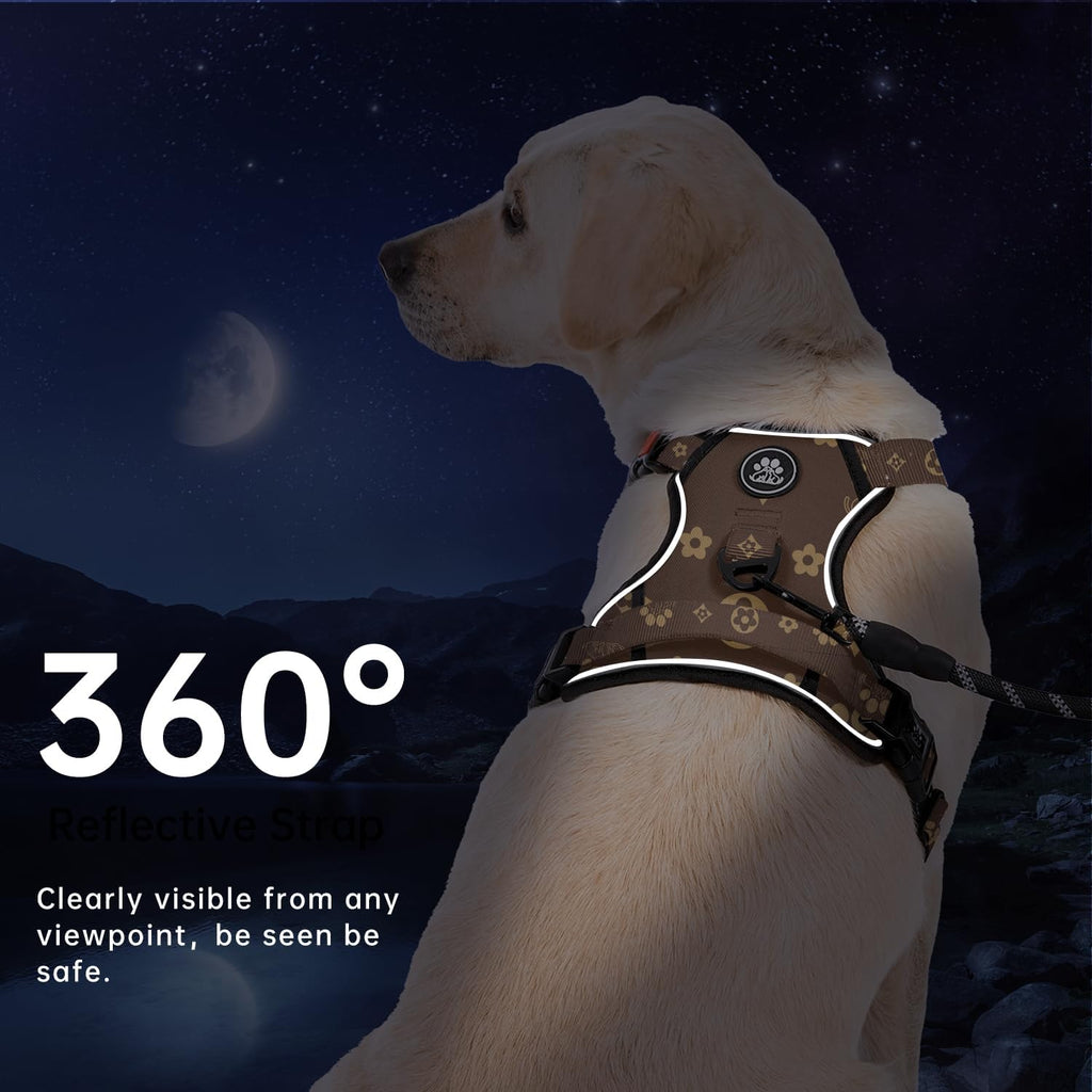 IVY&LANE No Pull Dog Harness with Leash Set, Reflective No Choke Pet Vest,Adjustable Oxford Dog Vest Harness with Easy Control Handle for Small Dogs (Dark Brown,S)