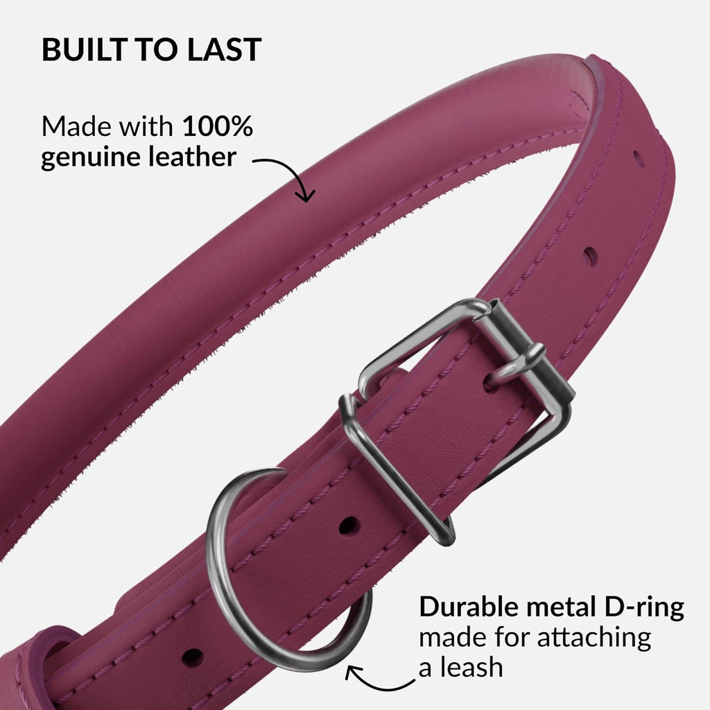 CollarDirect Rolled Leather Dog Collar, Soft Padded Round Puppy Collar, Handmade Genuine Leather Collar Dog Small Large Cat Collars 13 Colors (13-16 Inch, Pink Smooth)