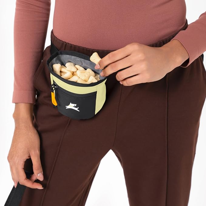OllyDog, Goodie Treat Bag, Dog Treat Training Pouch | Magnetic Closure | 3 Ways - Image 6