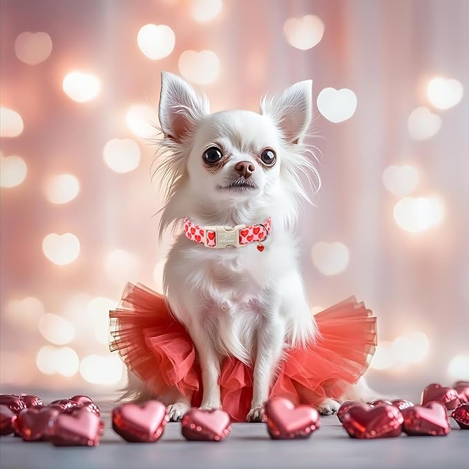 Valentines Dog Collar for Medium Dogs - Image 5