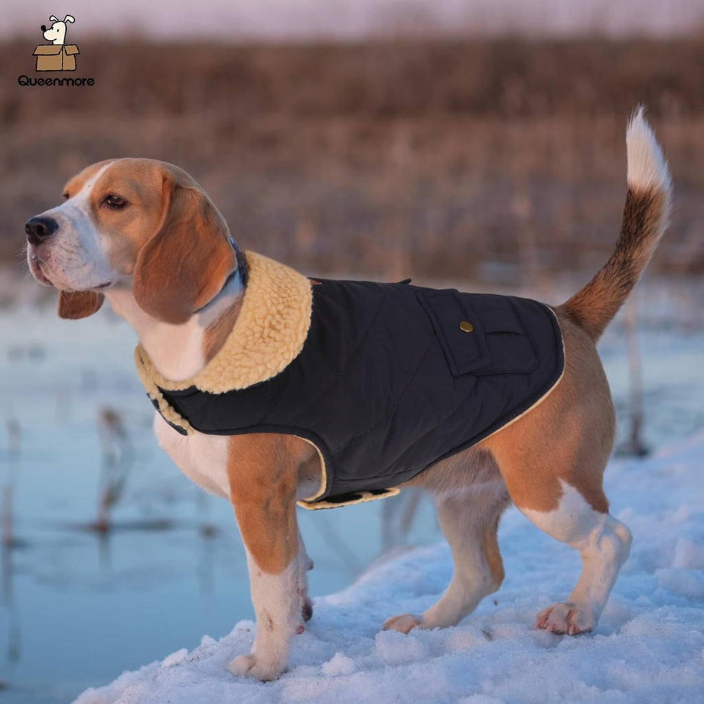 Queenmore Warm Puffer Dog Coat, Quilting Winter Jacket Ultra Thick Plush Lining with Storage Pockets (Dark Navy, X-Large)