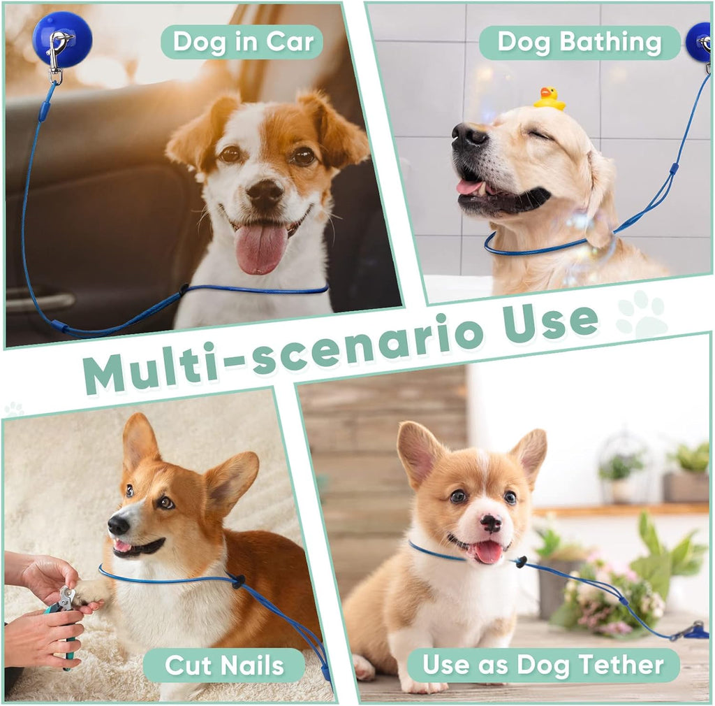 Petbobi Dog Bathing Tether with Heavy Suction Cup, Pet Grooming Tub Restraint Leash with Dog Scrubber for Bath, Adjustable Cat Fixed Safety Rope for Shower, Blowing, Trimming, Brushing Pet