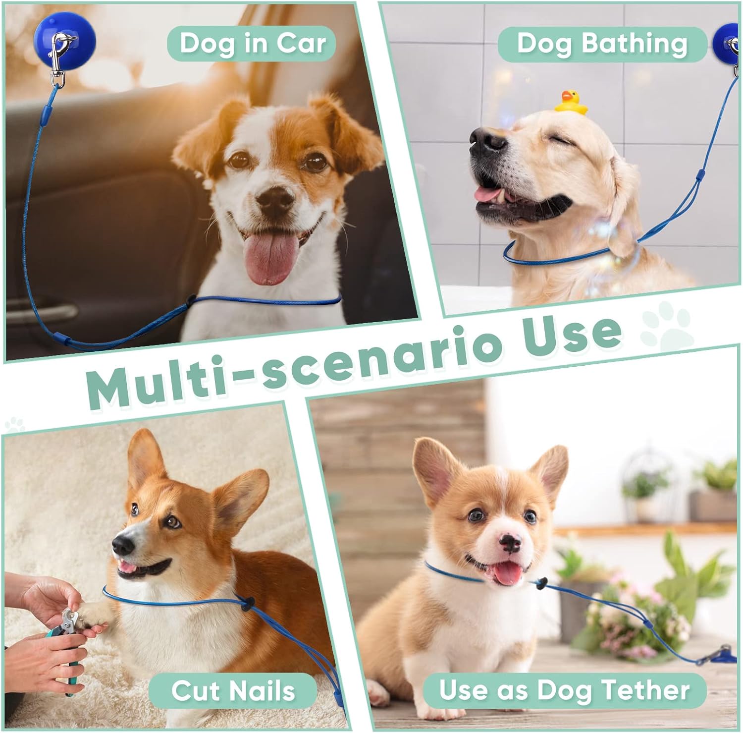 Petbobi Dog Bathing Tether with Heavy Suction Cup, Pet Grooming Tub Restraint Leash with Dog Scrubber for Bath, Adjustable Cat Fixed Safety Rope for Shower, Blowing, Trimming, Brushing Pet