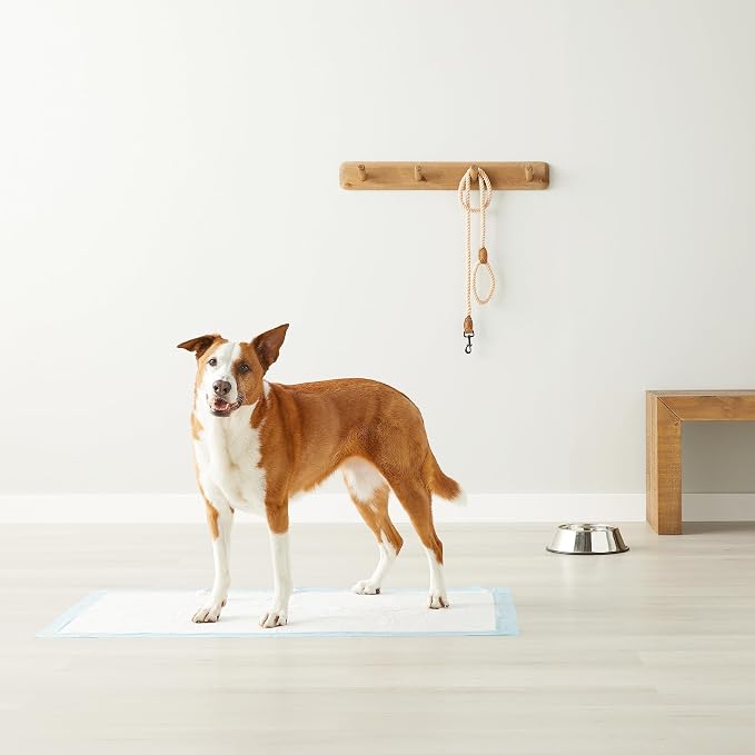 Amazon Basics Heavy Duty Dog and Puppy Pee Pads, Leak-Proof 5-Layer Super - Image 6