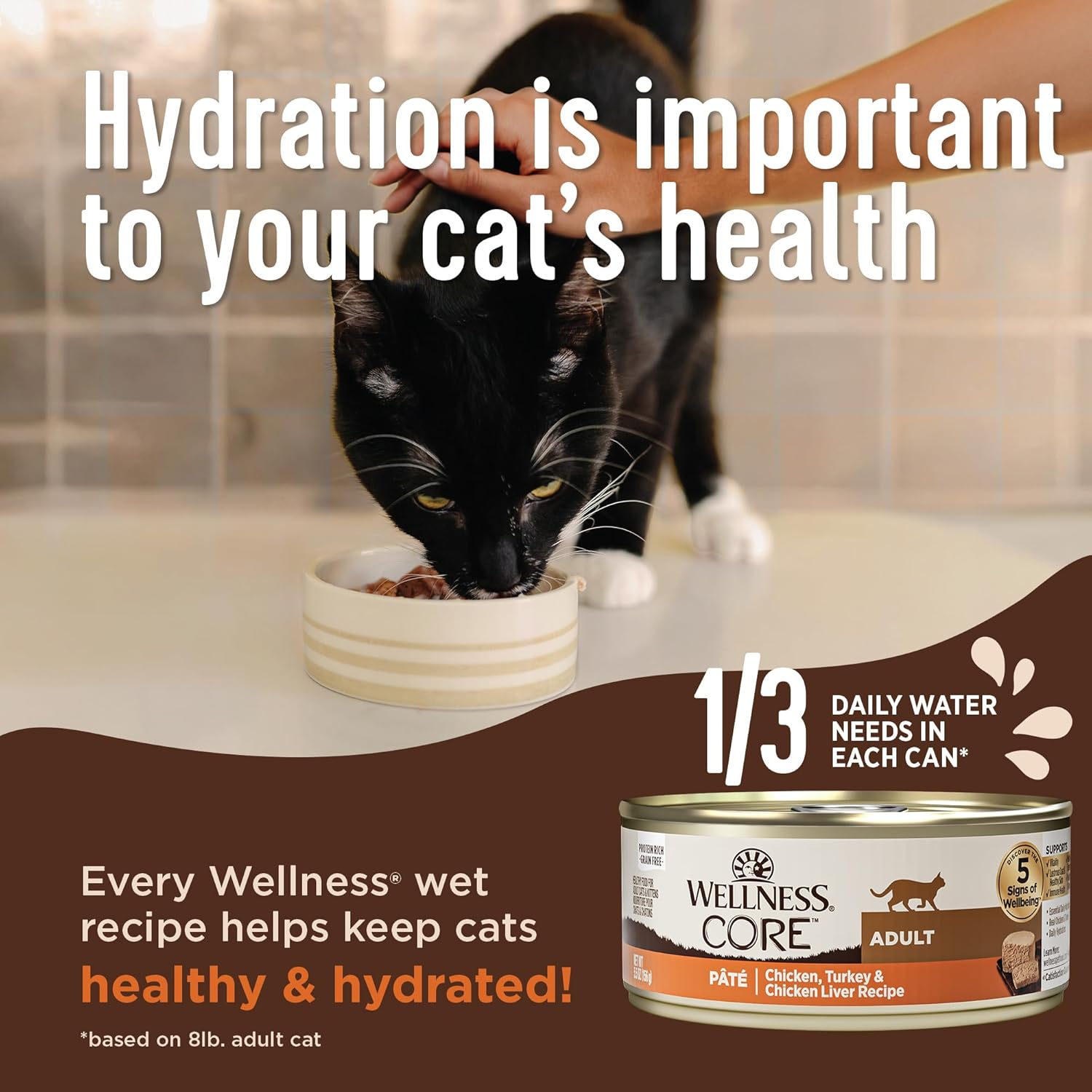 Wellness CORE+ Healthy Weight Pate Adult Wet Cat Food, Natural, Protein-Rich, Grain Free, 2.8 Ounce, 12 Pack (Chicken & Tuna)