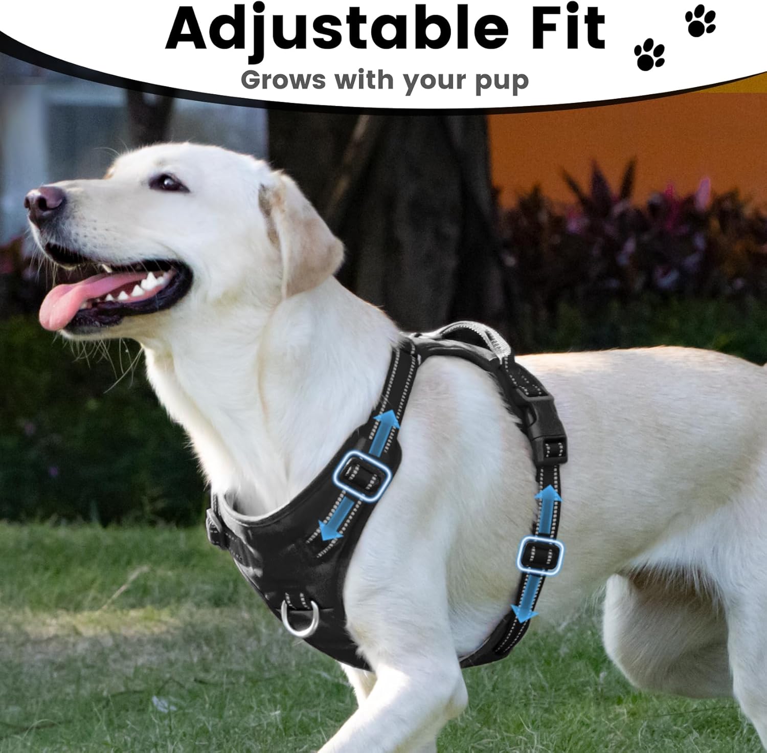 No Pull Dog Harness, Reflective Puppy Vest for Small Medium Large Sized Dog(Black,XL)