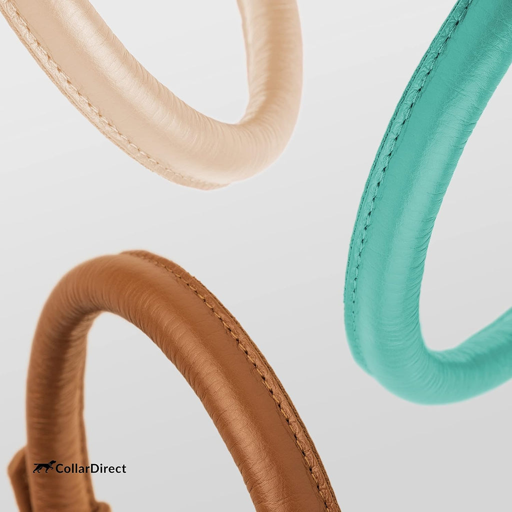 CollarDirect Rolled Leather Dog Collar, Soft Padded Round Puppy Collar, Handmade Genuine Leather Collar Dog Small Large Cat Collars 13 Colors (15-19 Inch, Mint Green Textured)