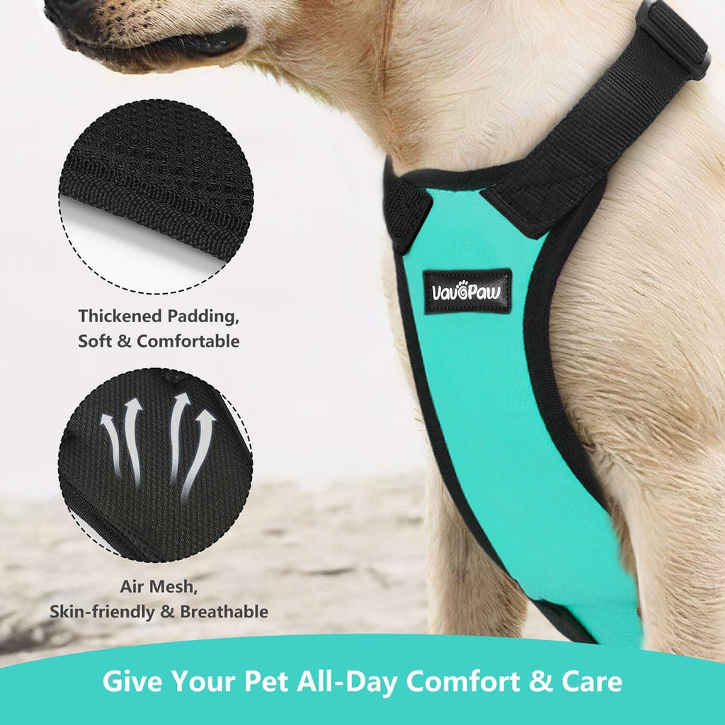 Dog Seat Belt, Safety Vest Dog Car Harness with Adjustable Buckle Dog Seat Belt for Vehicle Nylon Pet Safety Seat Belts Heavy Duty(XXL, Blue)