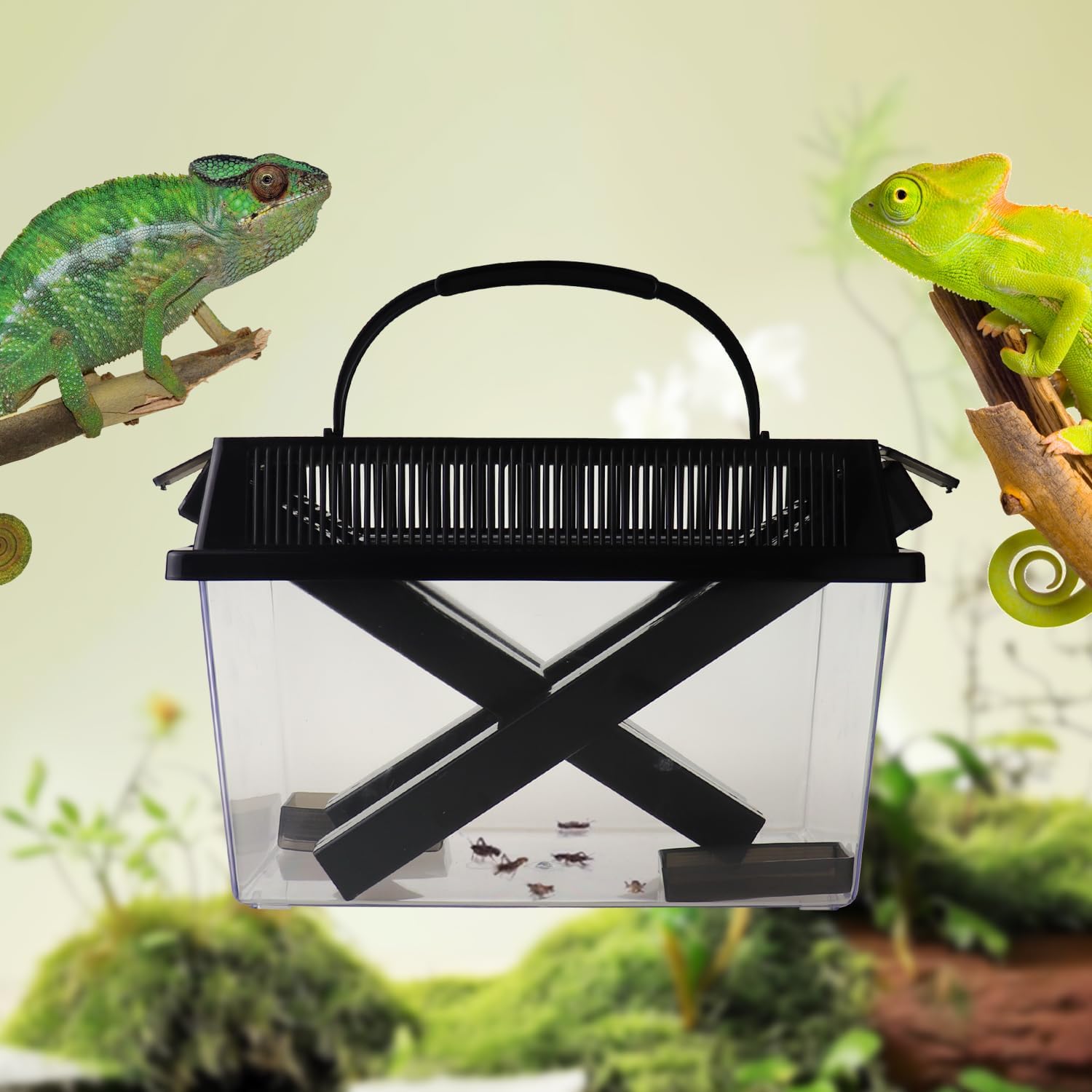 Reptile Cricket Keeper, Transparency Cricket Pen with Tubes, Insect Keeper with Water & Food Bowls for Bearded Dragon Gecko Lizards Chameleon Snake