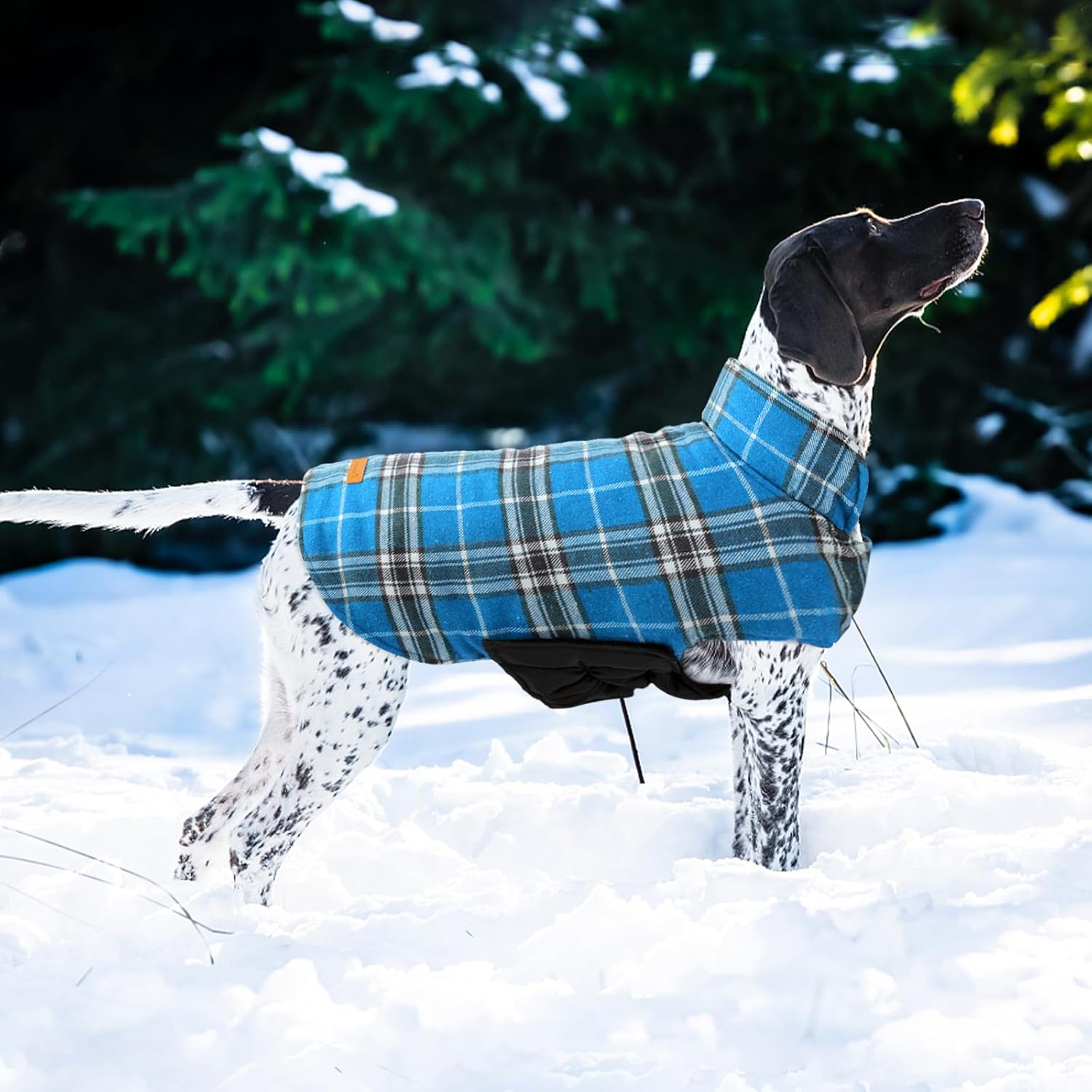 Kuoser Waterproof Dog Coat, Reversible Dog Jacket for Large Dogs, Adjustable Durable Doggie Winter Coat for Groowing Puppies Warm Puppy Cold Weather Apparel, Blue L