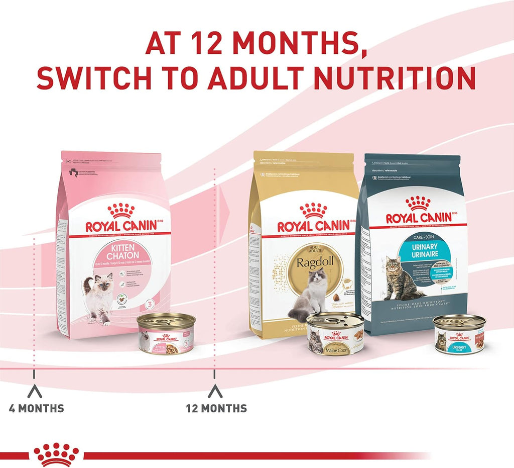 Royal Canin Feline Health Nutrition Kitten Thin Slices in Gravy Canned Cat Food, 3 oz can (6-pack)