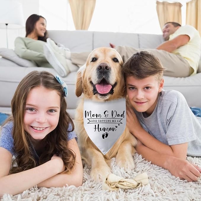 Mom & Dad are Getting Me a Human Dog Bandana Pregnancy Announcement - Image 4