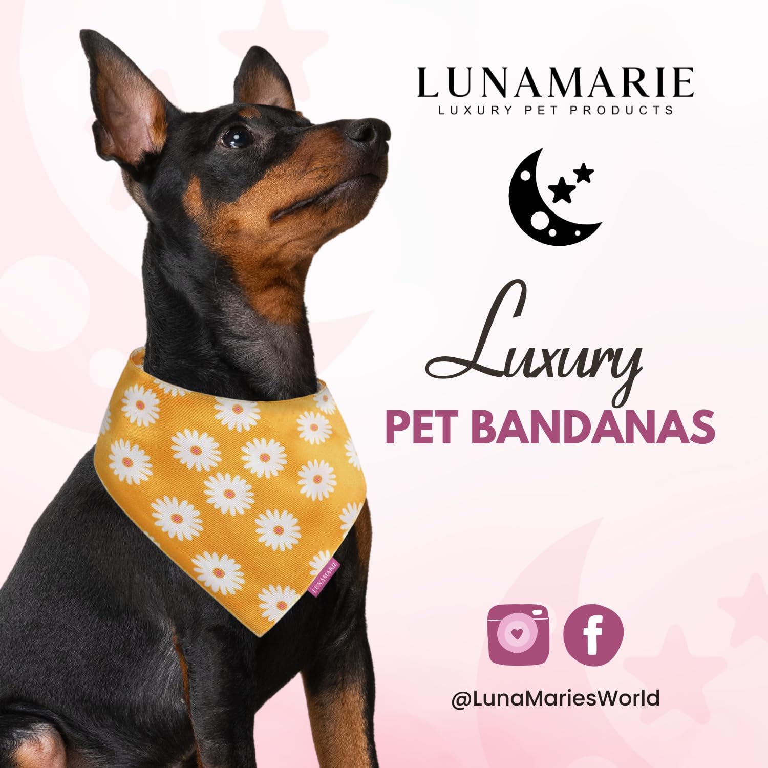 LunaMarie - Luxury Pet Birthday Bandanas -Premium & Silky Poly Fabric | 100% Handmade | Custom Shape Dual Layered (Daisies, Medium)