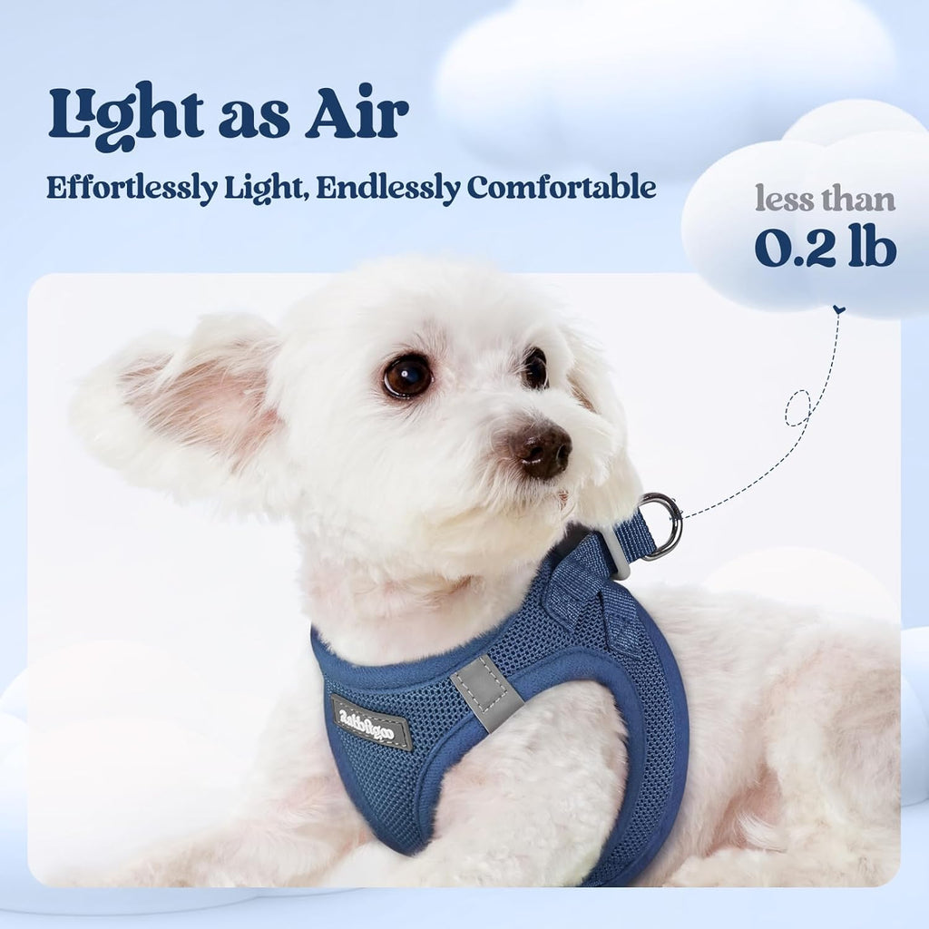 rabbitgoo Dog Harness Small Medium Sized and Leash Set, Step in Soft Light Puppy Vest, Breathable Mesh Pet Harness, Reflective for Safe Outdoor Walking, Navy Blue L