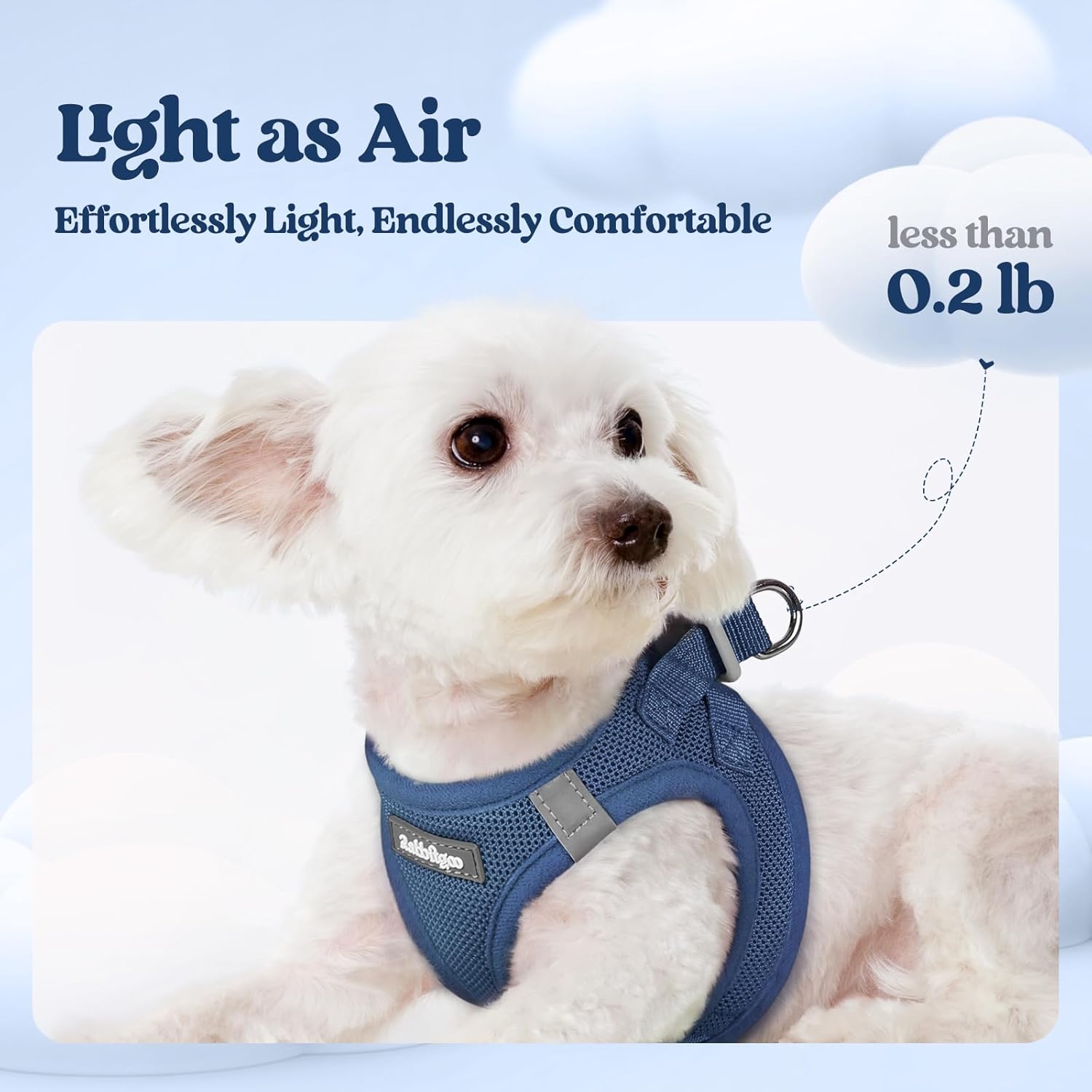 rabbitgoo Dog Harness Small Sized and Leash Set, Step in Soft Light Puppy Vest, Breathable Mesh Pet Harness, Reflective for Safe Outdoor Walking, Navy Blue XXS