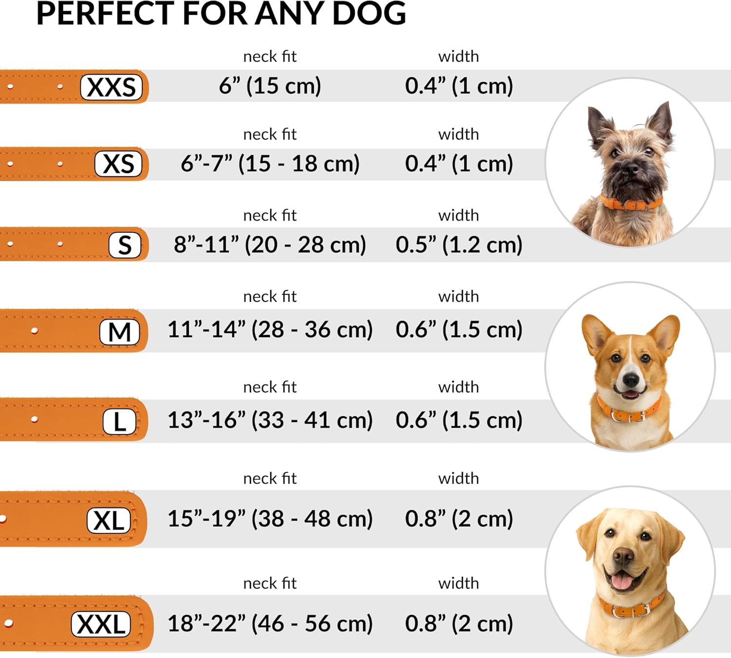 CollarDirect Rolled Leather Dog Collar, Soft Padded Round Puppy Collar, Handmade Genuine Leather Collar Dog Small Large Cat Collars 13 Colors (13-16 Inch, Orange Textured)
