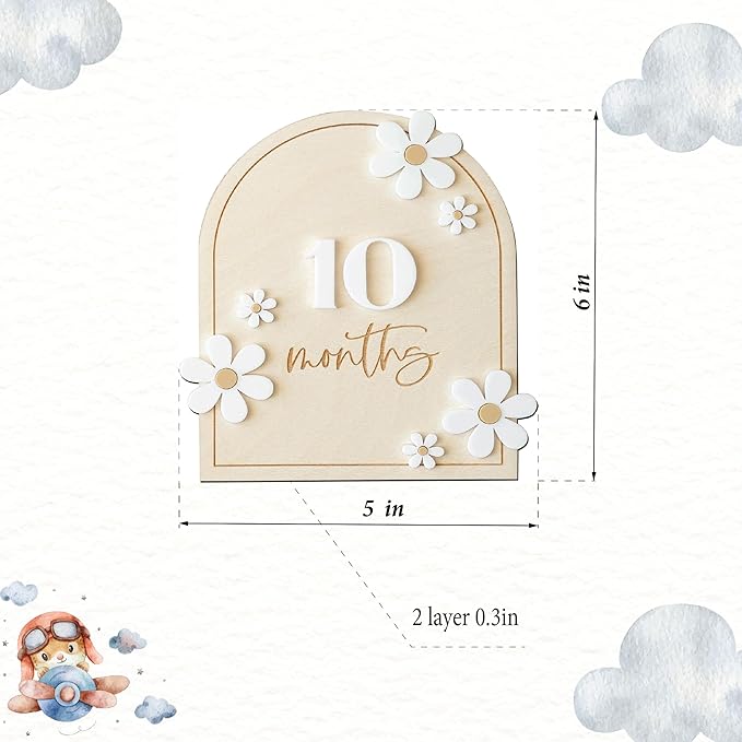 Daisy 3D Baby Monthly Milestone, Wooden Baby Milestone Signs, Monthly Milestone Wood Discs, Baby Milestone Discs (Daisy)
