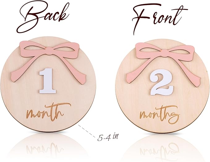 Daisy 3D Baby Monthly Milestone, Wooden Baby Milestone Signs, Monthly Milestone Wood Discs, Baby Milestone Discs (A24)