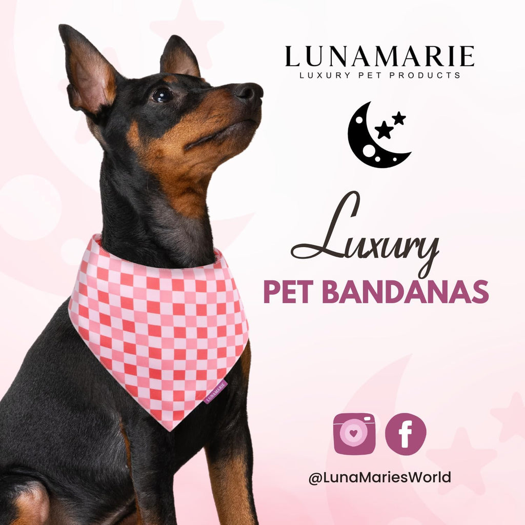 LunaMarie - Luxury Pet Birthday Bandanas -Premium & Silky Poly Fabric | 100% Handmade | Custom Shape Dual Layered (Rebel, Large)