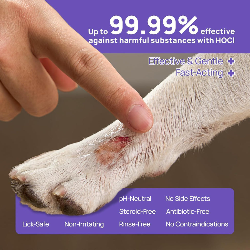 HICC PET Dog Wound Care Hydro Gel, Heals Wounds, Soothes Inflammation, Prevents Infection, Treats Bites, Scratches & Skin Ulcers, Cat Wound Care Solution, Horses First Aid Kits, 3.4 Ounces